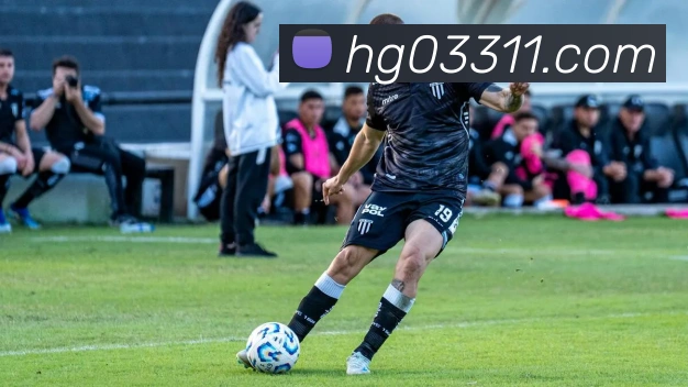 平台展示图